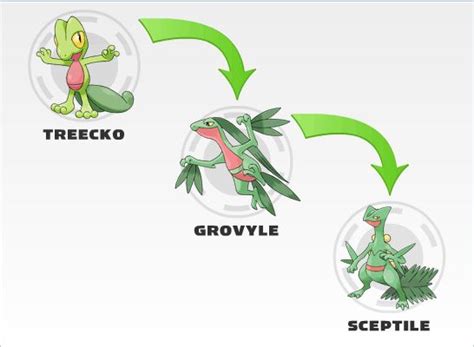 treecko evolves to|[ Treecko ] The Pokémon Index: Evolution Chart, Move List, .